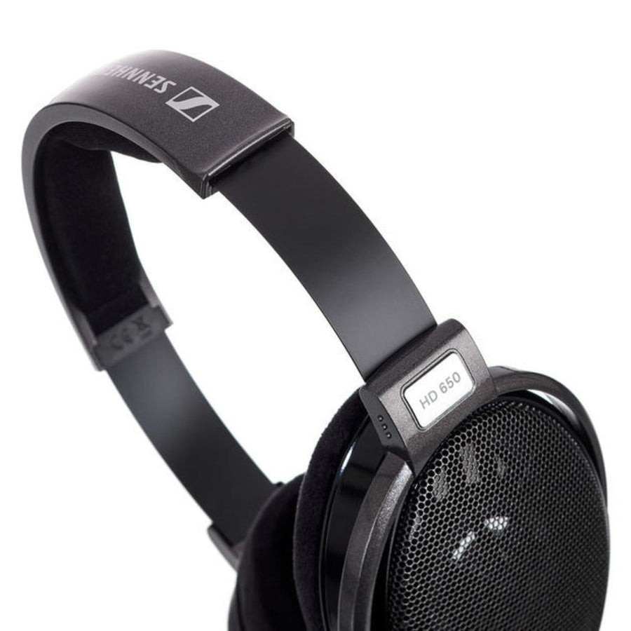 HD 650 earcup detail