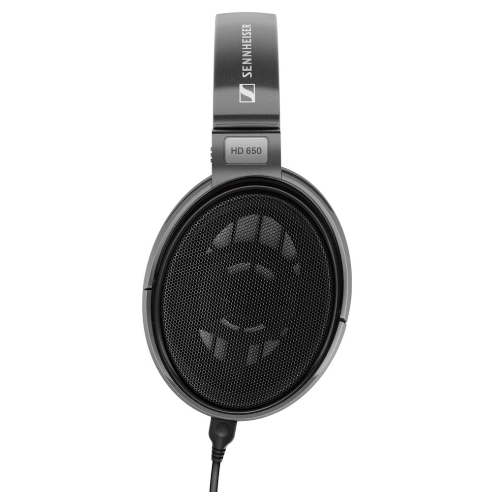 Close-up of the HD 650 earcup grille