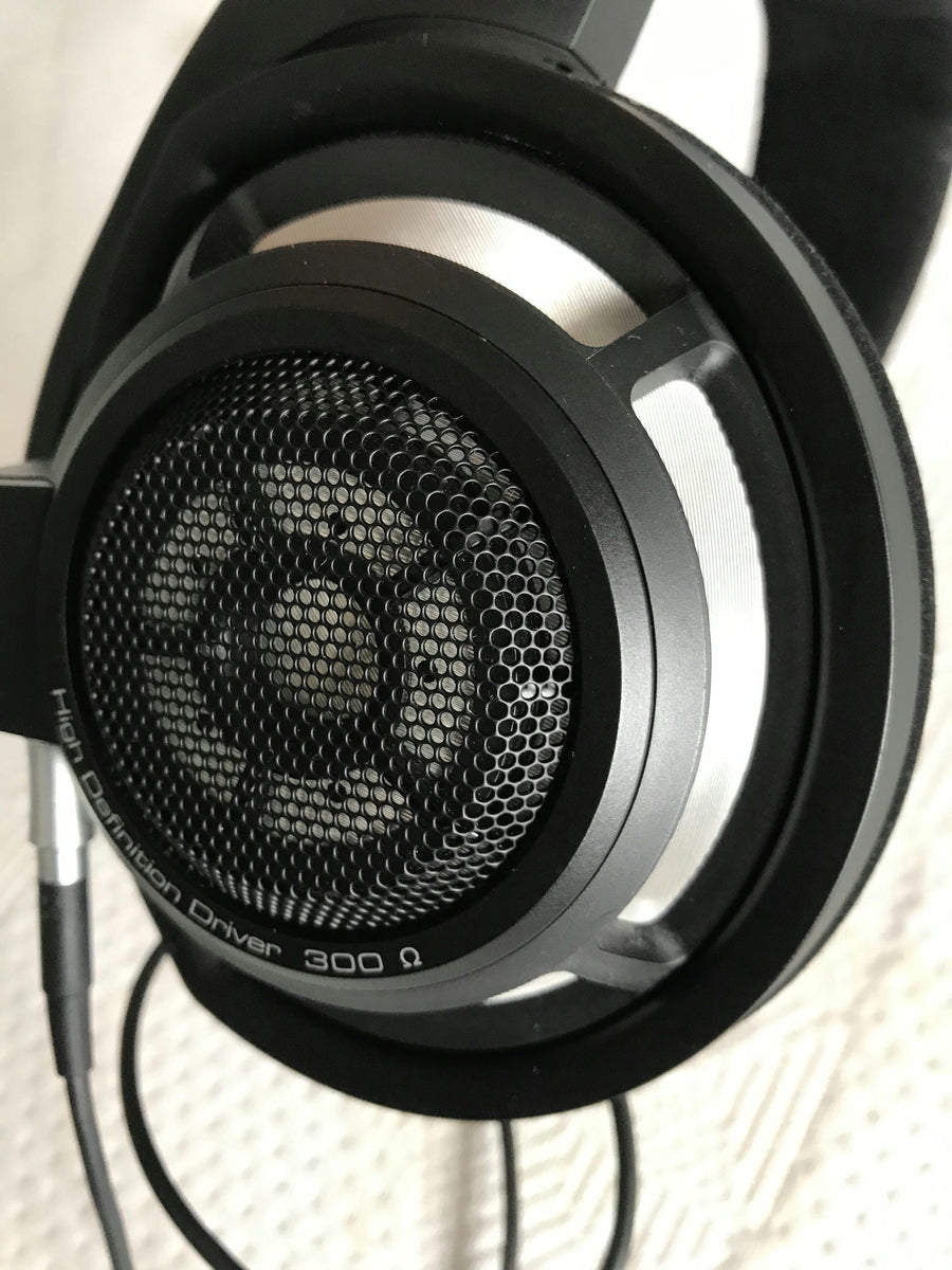 HD 800S full view